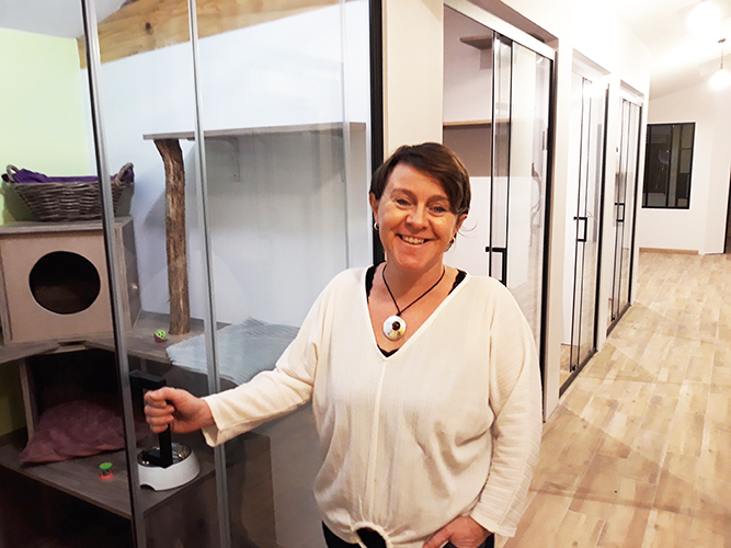 pension chat tarn et garonne