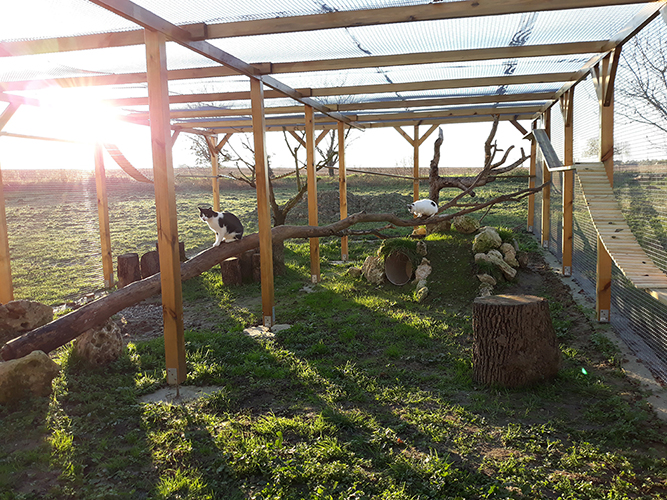 pension chat tarn et garonne