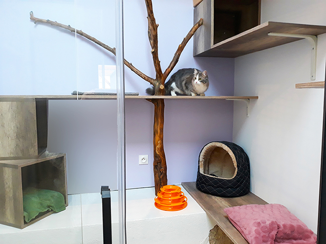 pension chat lot et garonne