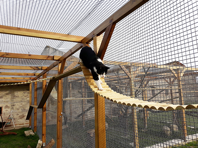 pension chat lot et garonne