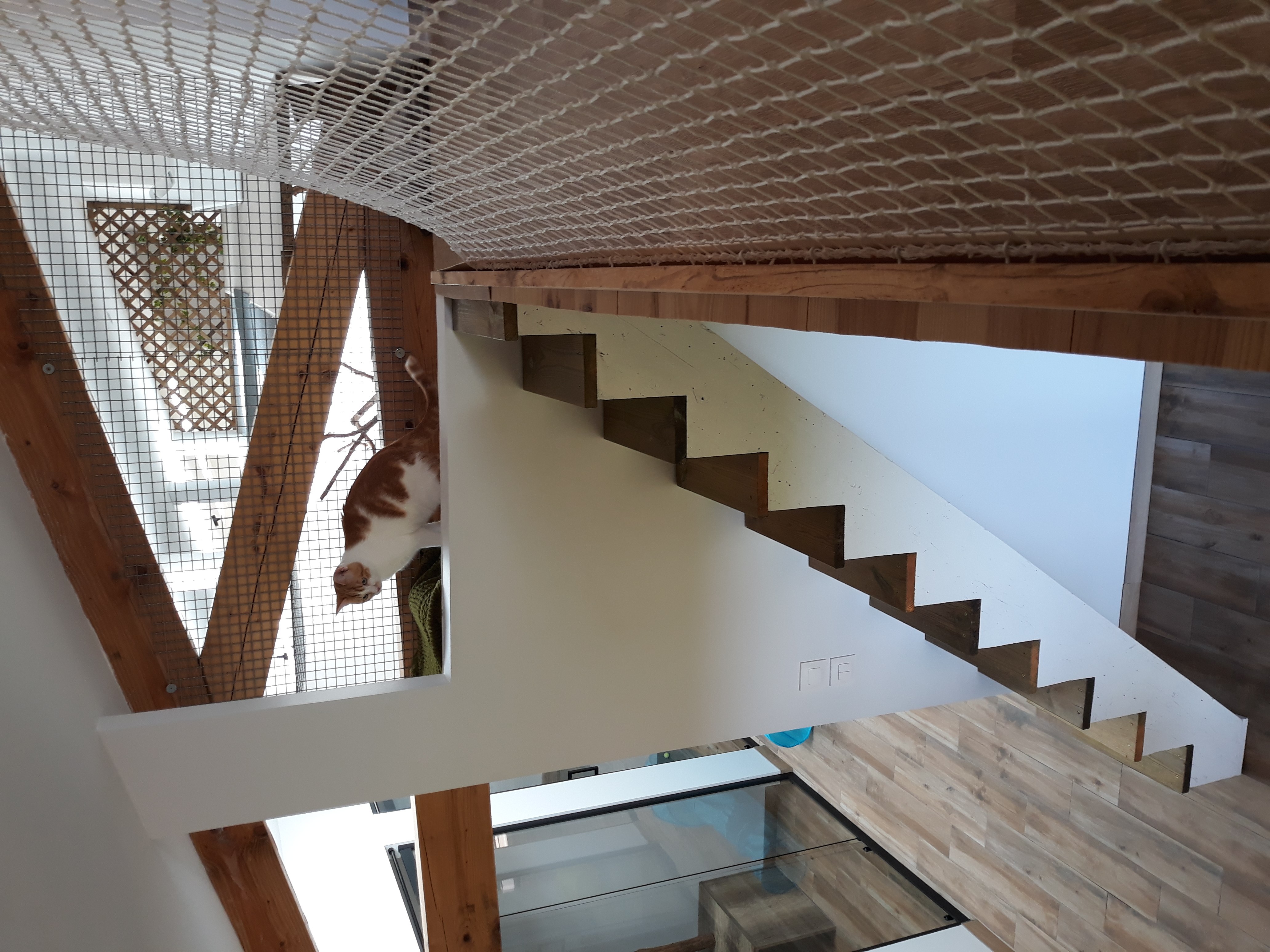 pension la patoune du chat