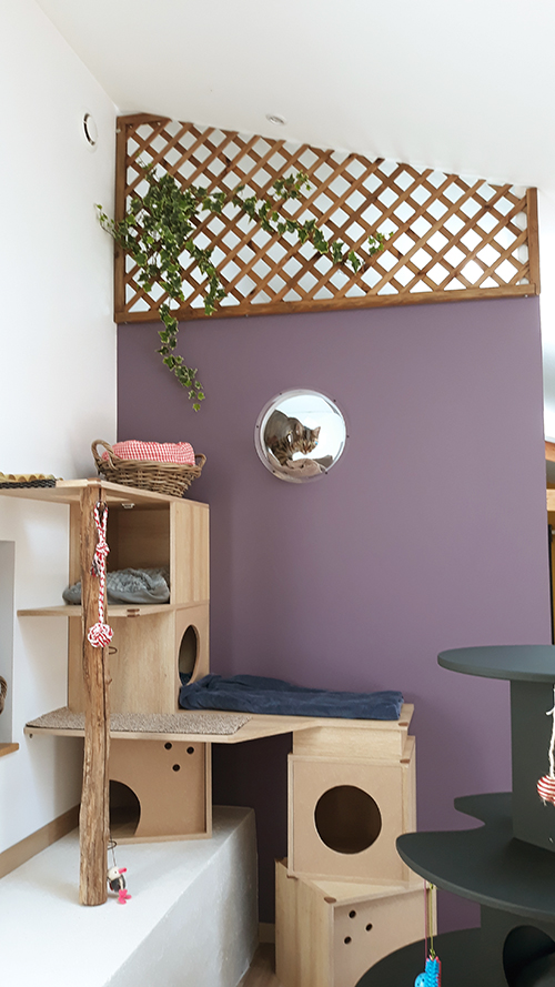 pension la patoune du chat