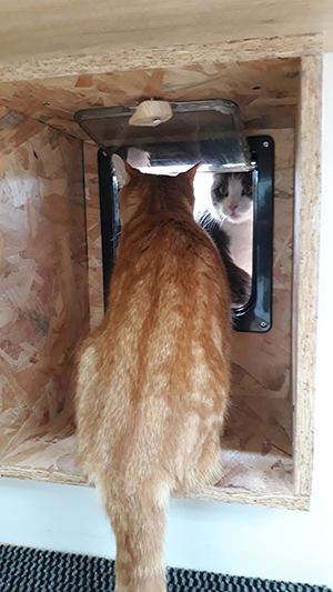 pension la patoune du chat