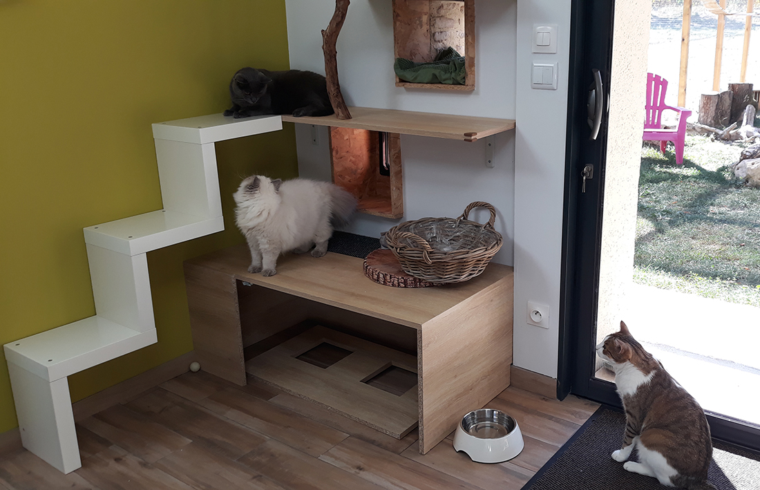 pension la patoune du chat