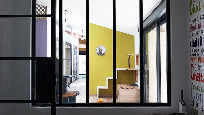 pension la patoune du chat