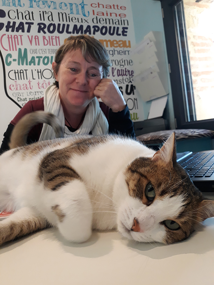 pension la patoune du chat