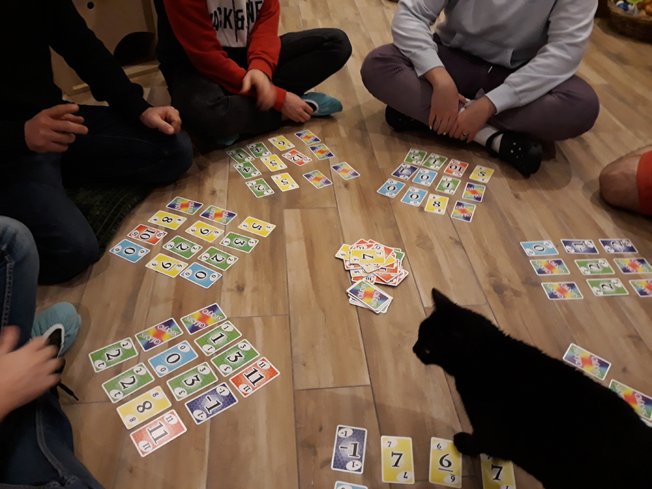 pension la patoune du chat