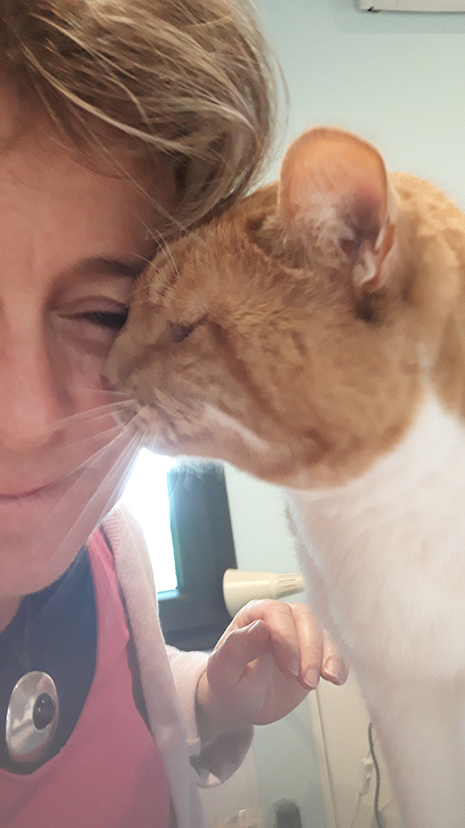 pension la patoune du chat