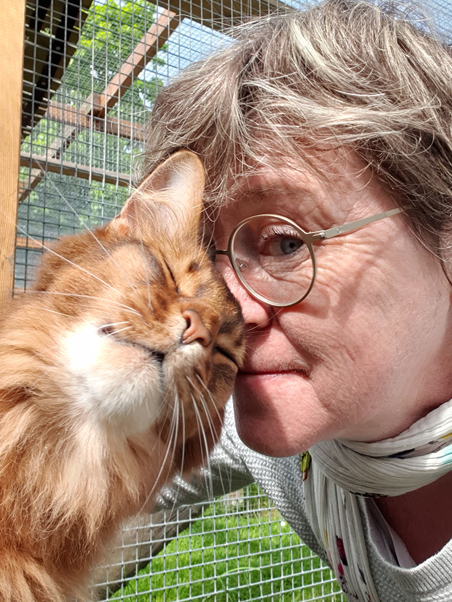 pension la patoune du chat