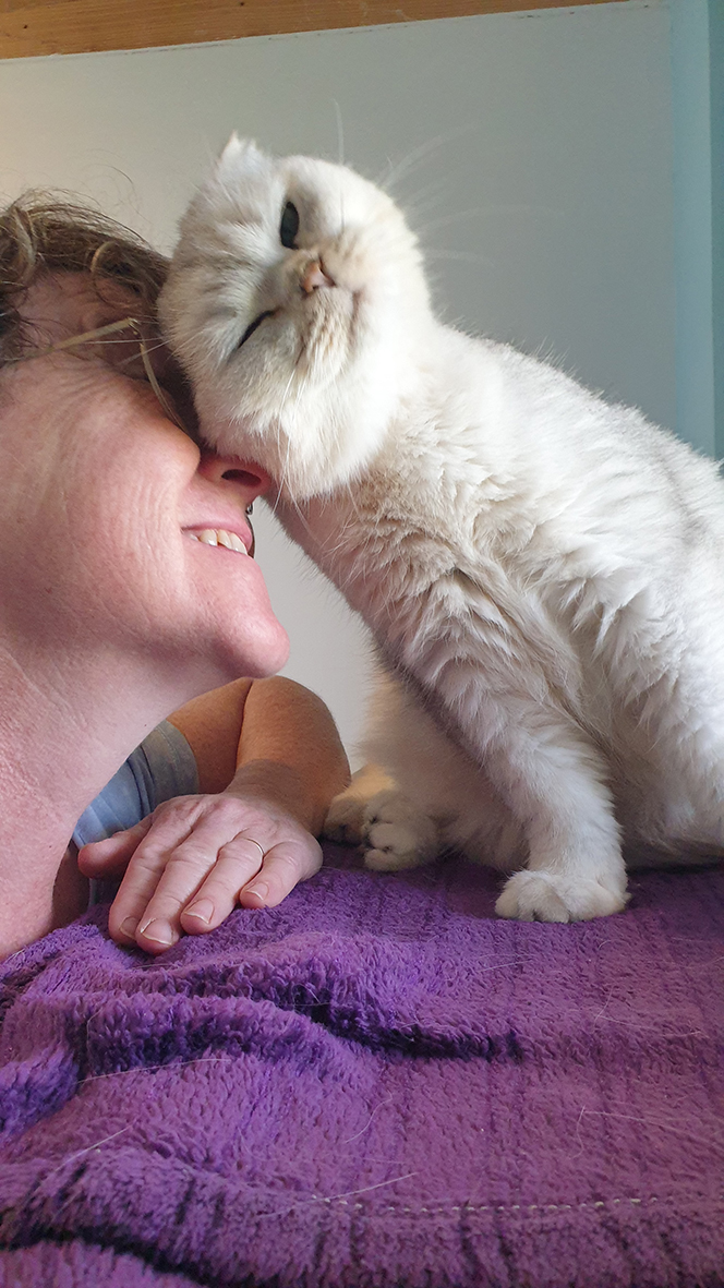 pension la patoune du chat