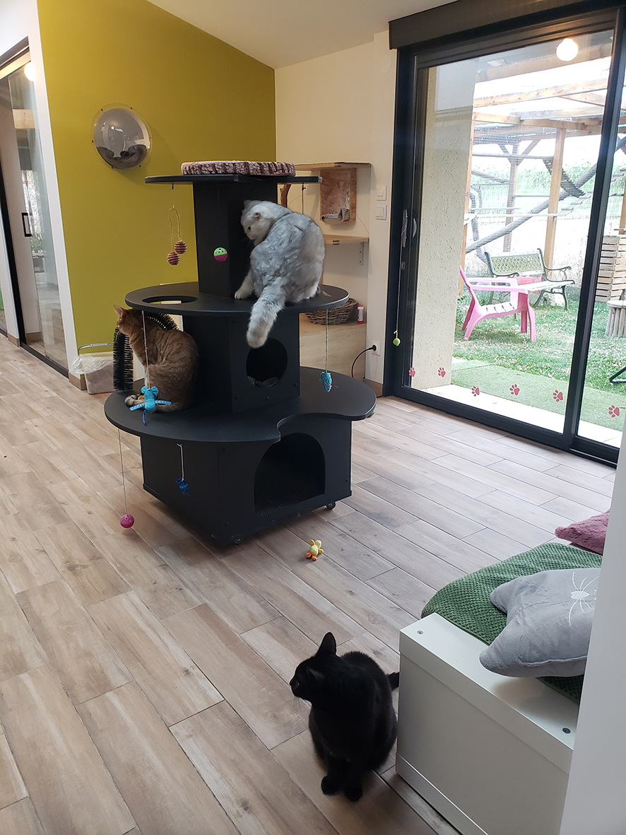 pension la patoune du chat