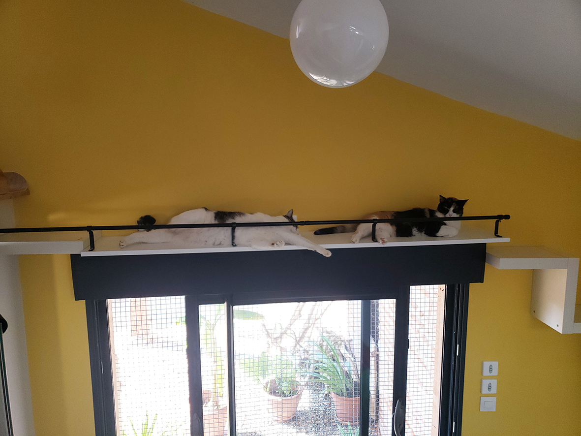 pension la patoune du chat