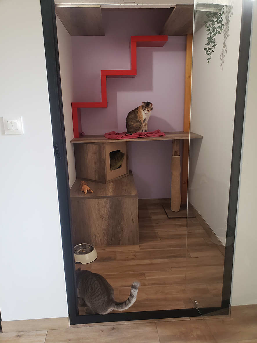 pension la patoune du chat