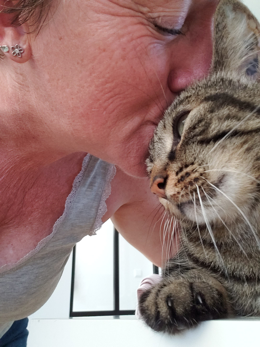 pension la patoune du chat