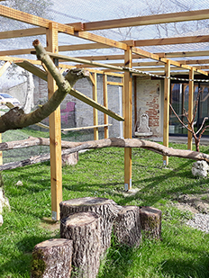 Pension pour chats - parc extérieur de 60m2
