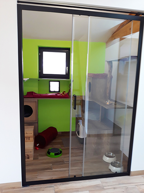 Pension pour chats chambre-47-82